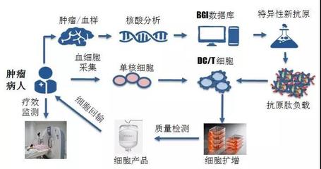 煜森资本:华大吉诺因携「肿瘤新生抗原」诱导的CTL技术亮相AACR